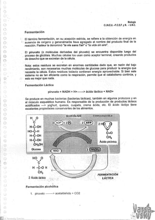 Biologia teorico (2014)