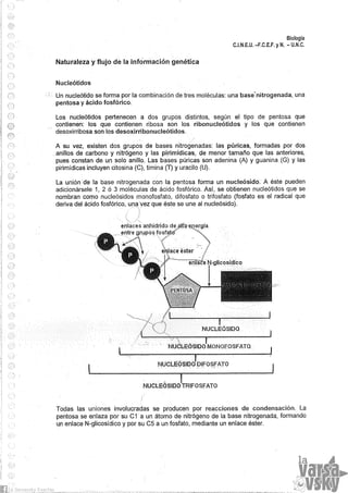 Biologia teorico (2014)