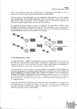Biologia teorico (2014)