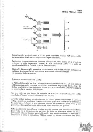 Biologia teorico (2014)