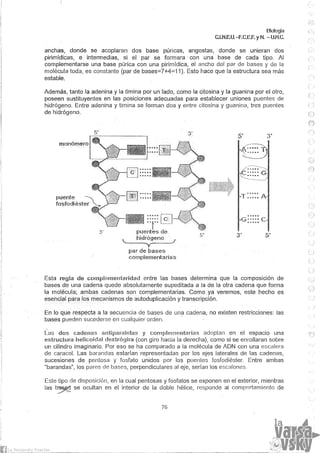 Biologia teorico (2014)