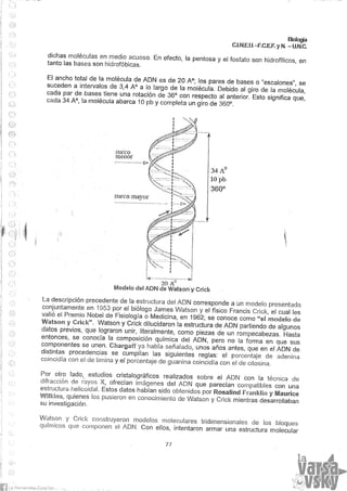 Biologia teorico (2014)