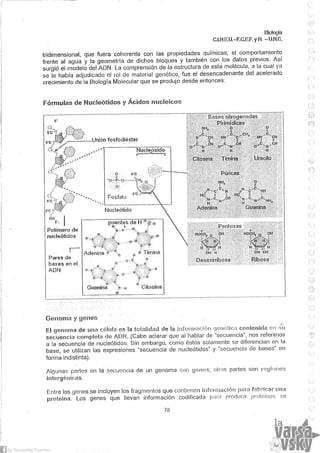Biologia teorico (2014)