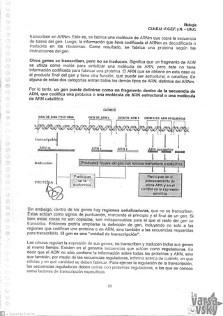 Biologia teorico (2014)