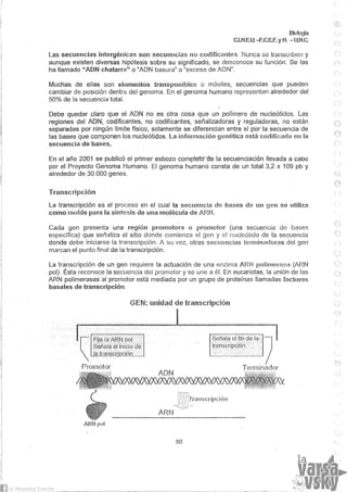 Biologia teorico (2014)