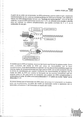 Biologia teorico (2014)