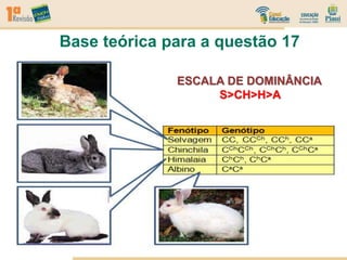 Base teórica para a questão 17
ESCALA DE DOMINÂNCIA
S>CH>H>A
 