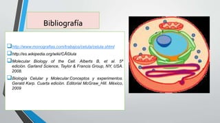 Biologia tipos de celulas