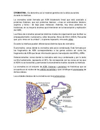 CROMATINA.- Se denomina así al material genético de la célula eucariota
durante la interfase.
La cromatina están formada por ADN bicatenario lineal que está asociado a
proteínas histonas, que son proteínas básicas —ricas en aminoácidos básicos:
arginina y lisina— de bajo peso molecular. Además, hay otras proteínas no
histónicas, en su mayoría enzimas que intervienen en la transcripción y replicación
del ADN.
Las fibras de cromatina presentan distintos niveles de organización que facilitan su
empaquetamiento: nucleosoma, collar de perlas, fibras de 30nm (300A). Recuerda
que ya lo vimos en la unidad 1, si quieres repasarlo, mira este vídeo.
Durante la interfase pueden diferenciarse distintos tipos de cromatina:
Eucromatina: zonas donde la cromatina está poco condensada. Está formada por
los fragmentos de ADN correspondientes a los genes activos así como los
fragmentos de ADN que llevan información para la transcripción del ARNt y ARNr.
Heterocromatina: zonas donde la cromatina está muy condensada y por lo tanto
se tiñe fuertemente, representa el 90%. Se corresponde con las zonas en las que
el ADN no se transcribe y permanece funcionalmente inactivo durante la interfase.
La cromatina es el conjunto de ADN, histonas y proteínas no histónicas que se
encuentra en el núcleo de las células eucariotas y que constituye el cromosoma de
dichas células.
Las unidades básicas de la cromatina son losnucleosomas.
 