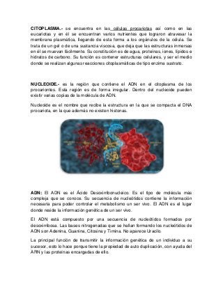 CITOPLASMA.- se encuentra en las células procariotas así como en las
eucariotas y en él se encuentran varios nutrientes que lograron atravesar la
membrana plasmática, llegando de esta forma a los orgánulos de la célula. Se
trata de un gel o de una sustancia viscosa, que deja que las estructuras inmersas
en él se muevan fácilmente. Su constitución es de agua, proteínas, iones, lípidos e
hidratos de carbono. Su función es contener estructuras celulares, y ser el medio
donde se realizan algunas reacciones citoplasmáticas de tipo enzima sustrato.
NUCLEOIDE.- es la región que contiene el ADN en el citoplasma de los
procariontes. Esta región es de forma irregular. Dentro del nucleoide pueden
existir varias copias de la molécula de ADN.
Nucleoide es el nombre que recibe la estructura en la que se compacta el DNA
procariota, en la que además no existen histonas.
ADN: El ADN es el Ácido Desoxirribonucleico. Es el tipo de molécula más
compleja que se conoce. Su secuencia de nucleótidos contiene la información
necesaria para poder controlar el metabolismo un ser vivo. El ADN es el lugar
donde reside la información genética de un ser vivo.
El ADN está compuesto por una secuencia de nucleótidos formados por
desoxirribosa. Las bases nitrogenadas que se hallan formando los nucleótidos de
ADN son Adenina, Guanina, Citosina y Timina. No aparece Uracilo.
La principal función de transmitir la información genética de un individuo a su
sucesor, esto lo hace porque tiene la propiedad de auto duplicación, con ayuda del
ARN y las proteínas encargadas de ello.
 