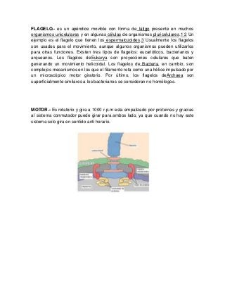 FLAGELO.- es un apéndice movible con forma de látigo presente en muchos
organismos unicelulares y en algunas células de organismos pluricelulares.1 2 Un
ejemplo es el flagelo que tienen los espermatozoides.3 Usualmente los flagelos
son usados para el movimiento, aunque algunos organismos pueden utilizarlos
para otras funciones. Existen tres tipos de flagelos: eucarióticos, bacterianos y
arqueanos. Los flagelos deEukarya son proyecciones celulares que baten
generando un movimiento helicoidal. Los flagelos de Bacteria, en cambio, son
complejos mecanismos en los que el filamento rota como una hélice impulsado por
un microscópico motor giratorio. Por último, los flagelos deArchaea son
superficialmente similares a los bacterianos se consideran no homólogos.
MOTOR.- Es rotatorio y gira a 1000 r.p.m esta empalizado por proteínas y gracias
al sistema conmutador puede girar para ambos lado, ya que cuando no hay este
sistema solo gira en sentido anti horario.
 