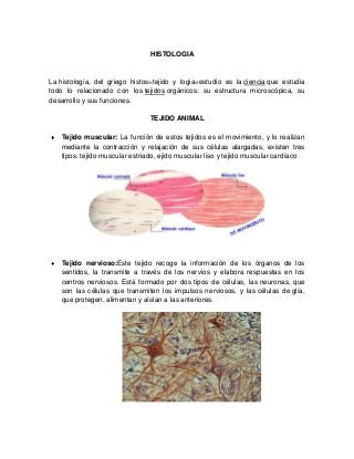 HISTOLOGIA
La histología, del griego histos=tejido y logia=estudio es la ciencia que estudia
todo lo relacionado con los tejidos orgánicos: su estructura microscópica, su
desarrollo y sus funciones.
TEJIDO ANIMAL
Tejido muscular: La función de estos tejidos es el movimiento, y lo realizan
mediante la contracción y relajación de sus células alargadas, existen tres
tipos: tejido muscular estriado, ejido muscular liso y tejido muscular cardíaco
Tejido nervioso:Este tejido recoge la información de los órganos de los
sentidos, la transmite a través de los nervios y elabora respuestas en los
centros nerviosos. Está formado por dos tipos de células, las neuronas, que
son las células que transmiten los impulsos nerviosos, y las células de glía,
que protegen, alimentan y aíslan a las anteriores.
 