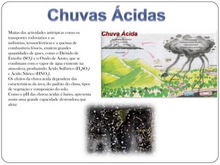 Muitas das actividades antrópicas como os
transportes rodoviários e as
indústrias, termoeléctricas e a queima de
combustíveis fósseis, emitem grandes
quantidades de gases, como o Dióxido de
Enxofre (SO2) e o Óxido de Azoto, que se
combinam com o vapor de água existente na
atmosfera, produzindo Ácido Sulfúrico (H2SO4)
e Ácido Nítrico (HNO3).
Os efeitos da chuva ácida dependem das
características da área, do padrão do clima, tipos
de vegetação e composição do solo.
Como o pH das chuvas ácidas é baixo, apresenta
assim uma grande capacidade destruidora que
afeta:
 