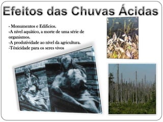- Monumentos e Edificios.
-A nível aquático, a morte de uma série de
organismos.
-A produtividade ao nível da agricultura.
-Tóxicidade para os seres vivos
 
