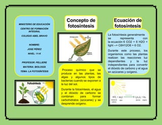 Concepto de
fotosíntesis
Proceso químico que se
produce en las plantas, las
algas y algunos tipos de
bacterias cuando se exponen a
la luz del sol.
Durante la fotosíntesis, el agua
y el dióxido de carbono se
combinan para formar
carbohidratos (azúcares) y se
desprende oxígeno.
Ecuación de
fotosíntesis
La fotosíntesis generalmente
se representa con
la ecuación 6 CO2 + 6 H2O +
light --> C6H12O6 + 6 O2.
Durante este proceso, los
organismos como las plantas
realizan las reacciones luz
dependientes y la luz
independientes para convertir
el dióxido de carbono y el agua
en azúcares y oxígeno.
MINISTERIO DE EDUCACIÓN
CENTRO DE FORMACIÓN
INTEGRAL
COLEGIO ABEL BRAVO
NOMBRE:
JOSE PÉREZ
NIVEL: 11-K
PROFESOR: PELLIERE
MATERIA: BIOLOGÍA
TEMA: LA FOTOSÍNTESIS
.
 