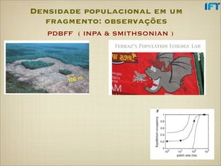 Densidade populacional em um
  fragmento: observações
   PDBFF ( INPA & SMITHSONIAN )




                      Science 31...