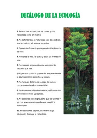 1. Amar a dios sobre todas las cosas, y a la
naturaleza como a ti mismo.
2. No defenderás a la naturaleza solo de palabras,
sino sobre todo a través de tus actos.
3. Guarda las flores vírgenes pues tu vida depende
de ellas.
4. Honraras la flora, la fauna y todas las formas de
vida.
5. No mataras ninguna clase de vida por más
pequeña que sea.
6.No pecaras contra la pureza del aire permitiendo
la acumulación de desechos y basura.
7. No hurtaras de la tierra su capa de humus,
condenando al suelo a la infertilidad.
8. No levantaras falsos testimonios justificando tus
crímenes con lucro y progreso.
9. No desearas para tu provecho que las fuentes y
los ríos se envenenen con basura y vertidos
industriales.
10. No codiciaras objetos, ni adornos cuya
fabricación destruya la naturaleza.
DECÁLOGO DE LA ECOLOGÍA
 