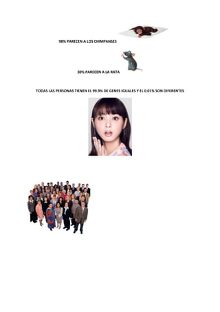 98% PARECEN A LOS CHIMPANSES

30% PARECEN A LA RATA

TODAS LAS PERSONAS TIENEN EL 99.9% DE GENES IGUALES Y EL 0.01% SON DIFERENTES

 