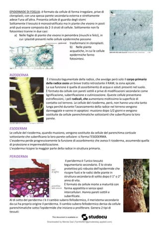 Comprehensive Overview of Plant Biology: Structure, Function, and ...