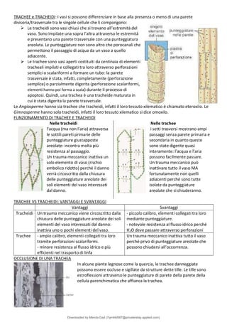 Comprehensive Overview of Plant Biology: Structure, Function, and ...
