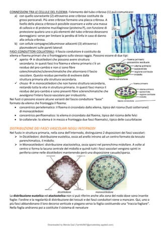 Comprehensive Overview of Plant Biology: Structure, Function, and ...