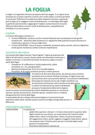Comprehensive Overview of Plant Biology: Structure, Function, and ...