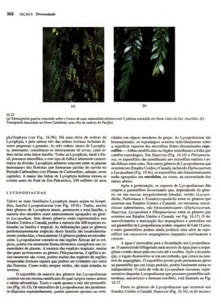 FAMÍLIAS DAS LICÓFITAS
 