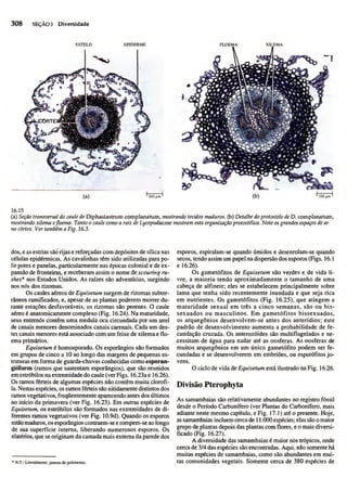 Biologia vegetal raven_5ªed