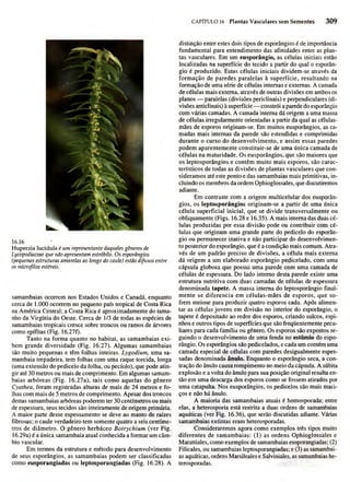 Biologia vegetal raven_5ªed