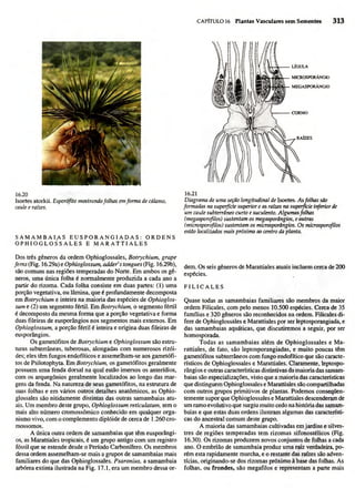 Biologia vegetal raven_5ªed