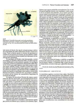 Biologia vegetal raven_5ªed