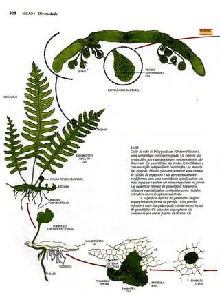 Biologia vegetal raven_5ªed