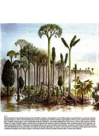 Biologia vegetal raven_5ªed