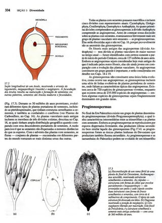 Biologia vegetal raven_5ªed