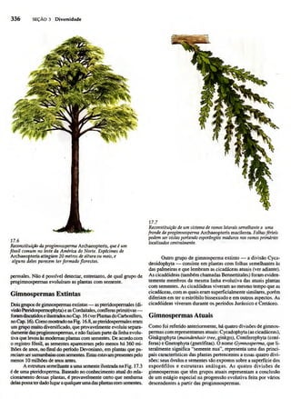 Biologia vegetal raven_5ªed