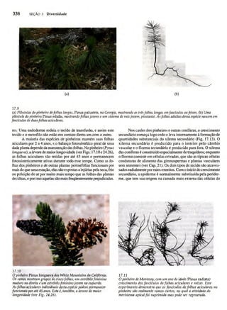 Biologia vegetal raven_5ªed