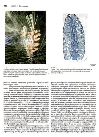 Biologia vegetal raven_5ªed
