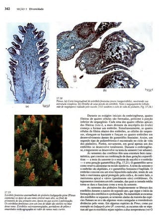 Biologia vegetal raven_5ªed