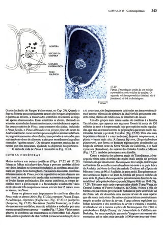 Biologia vegetal raven_5ªed