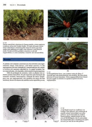 Biologia vegetal raven_5ªed