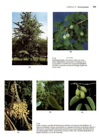 Biologia vegetal raven_5ªed