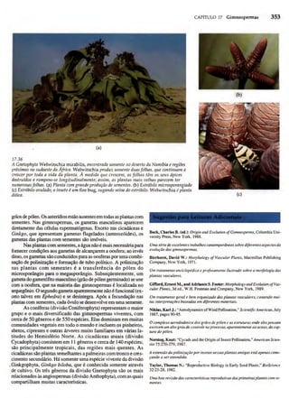 Biologia vegetal raven_5ªed