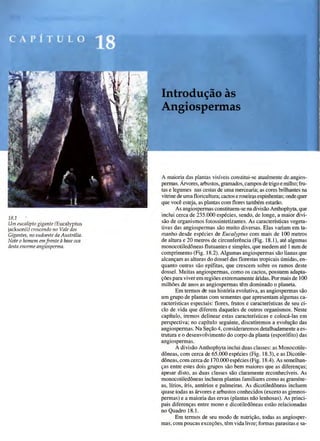 Biologia vegetal raven_5ªed