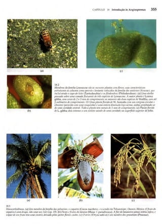 Biologia vegetal raven_5ªed