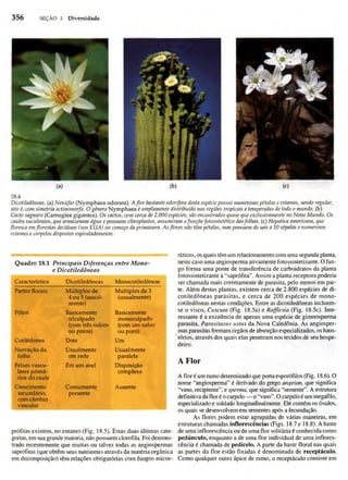 Biologia vegetal raven_5ªed