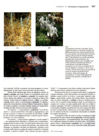 Biologia vegetal raven_5ªed