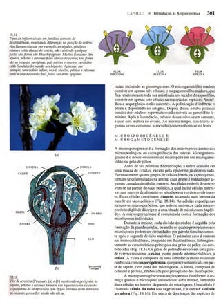Biologia vegetal raven_5ªed