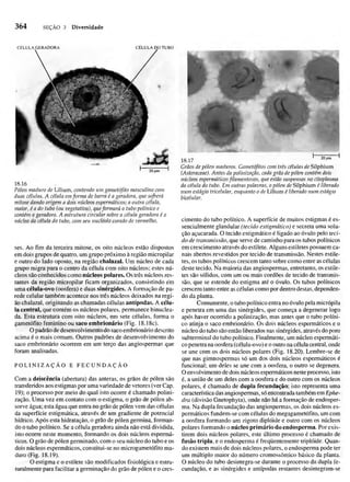 Biologia vegetal raven_5ªed