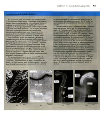 Biologia vegetal raven_5ªed