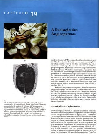 Biologia vegetal raven_5ªed